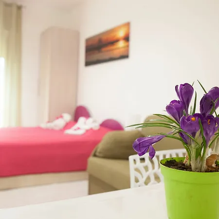Apartmán Duec *